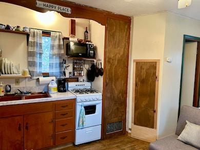 153 County Road 624, Isabella, MO 65676 - photo 7