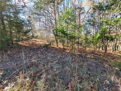 8 Acres Devils Den Rd, Winslow, AR 72959 - photo 7