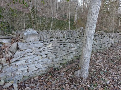 2 S Scruggs, Frankfort, KY 40601 - photo 4