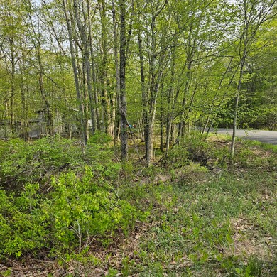 130 Wagner Way, Pocono Lake, PA 18347 - photo 6