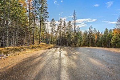 48 Trillium Way, Kalispell, MT 59901 - photo 4