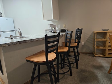 111 Center St unit 140, Lake Geneva, WI 53147 - photo 6