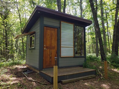 Parcel 004 Woodland Park Dr, Bitely, MI 49309 - photo 5