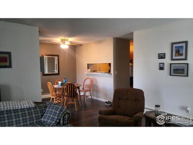 1117 Elysian Field Dr unit C, Lafayette, CO 80026 - photo 3