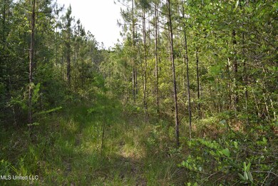 00 Avocado St, Bay Saint Louis, MS 39520 - photo 3