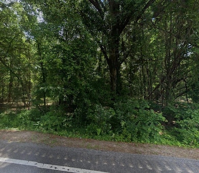 View of tree filled area