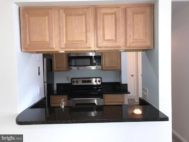 5823 Royal Ridge Dr unit S, Springfield, VA 22152 - photo 4