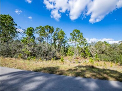 209 Sunnyside Dr, Lake Placid, FL 33852 - photo 7