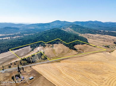 NNA Coldwater Ln, Desmet, ID 83824 - photo 2