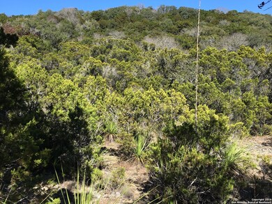 19693 Bluehill Pass, Helotes, TX 78023 - photo 5