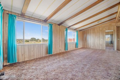 390SPorterRd-Snowflake-Arizona-7