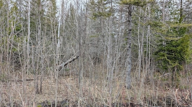 PXL_20250502_185942642