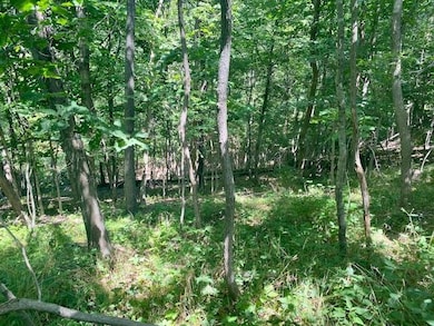 S SD State Route 103, Rushville, IL 62681 - photo 4