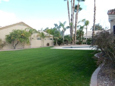 Backyard 1