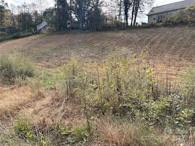 119, 123, 127 Randolph Ave, Black Mountain, NC 28711 - photo 5