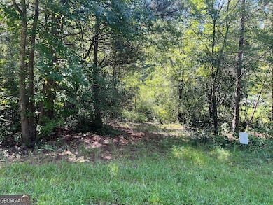 196 Tony Dr, Hartwell, GA 30643 - photo 2