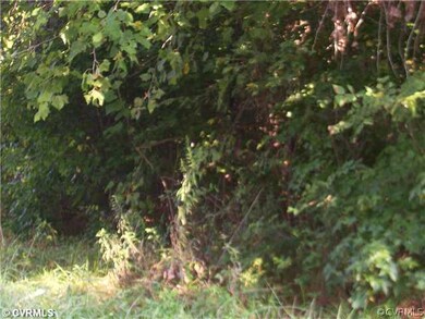 0 Green Level Rd unit 1322993, King William, VA 23009 - photo 4