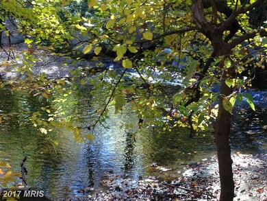 7103 13th Ave, Takoma Park, MD 20912 - photo 6