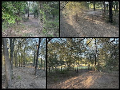 00 US Highway 271, Arthur City, TX 75411 - photo 2