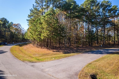 65 Standard Bred Way, Hertford, NC 27944 - photo 2