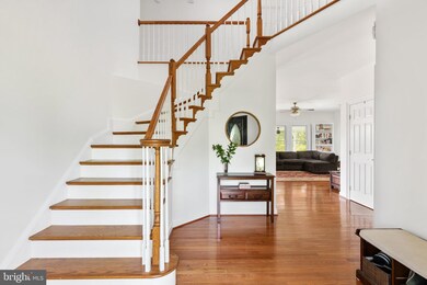 1181 Apple Pie Ridge Rd, Winchester, VA 22603 - photo 6