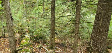 00 Hurd Hill Rd, Lyman, NH 03585 - photo 5