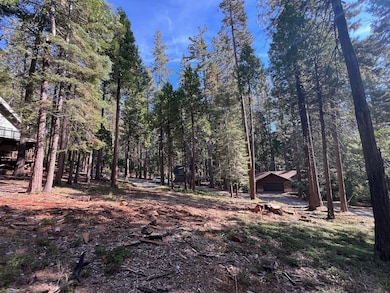 646 Dean Way, Arnold, CA 95223 - photo 5