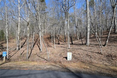 00 Harris Ridge Ln, Ellijay, GA 30540 - photo 5