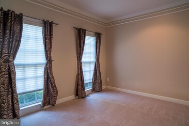 838 Queens Park Dr, Owings Mills, MD 21117 - photo 5