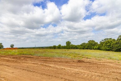210 Jupiter Trail, Weatherford, TX 76088 - photo 7