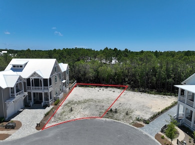 40 String Lily Cove, Santa Rosa Beach, FL 32459 - photo 3