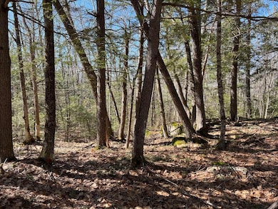 Lot#009-02 Powderhorn Rd, Jefferson, ME 04348 - photo 4