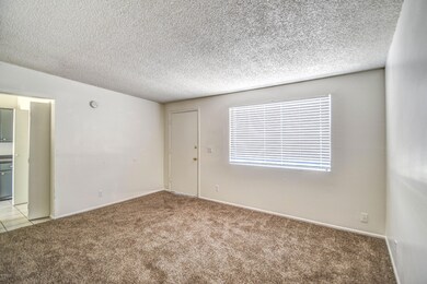 147 E Ivy St, Mesa, AZ 85201 - photo 7