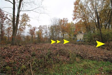 V/L Riley Rd, Aurora, OH 44202 - photo 7