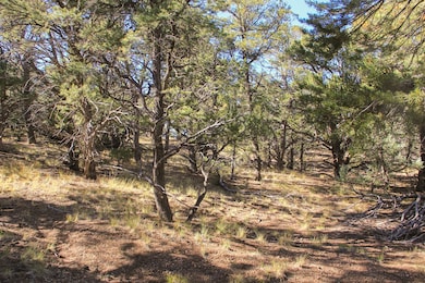 Marenman Rd, Fort Garland, CO 81133 - photo 6