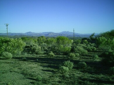 View from Old Mine Road Lot