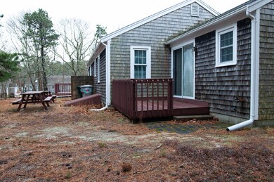 10 Fern exterior back