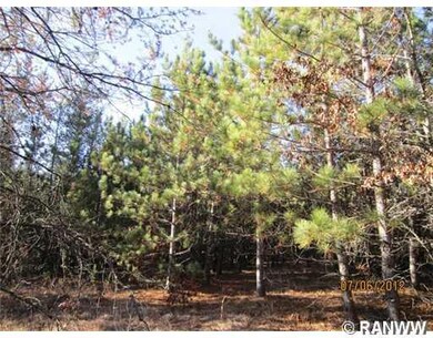 0 Hayden Lake Rd unit 859470, Danbury, WI 54830 - photo 3