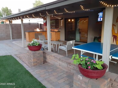 Back Yard (5)