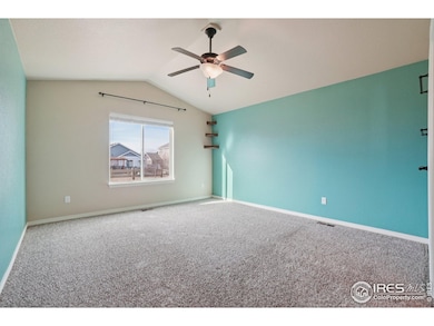 541 Mount Rainier St, Berthoud, CO 80513 - photo 4