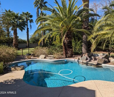 NEW Pool pic 3