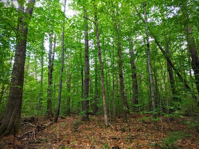 00 Cobble Hill Rd, Spofford, NH 03462 - photo 4