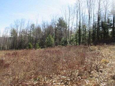 0 Winch Hill Rd unit 4798950, Swanzey, NH 03446 - photo 4