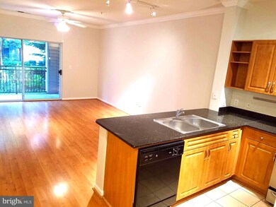 12909 Centre Park Cir unit 101, Oak Hill, VA 20171 - photo 2