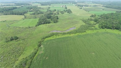 14284 Bednarek Rd, Weyerhaeuser, WI 54895 - photo 6