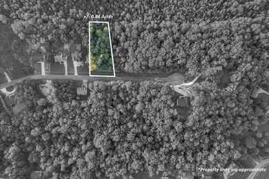 26-DJI_0446l1bw