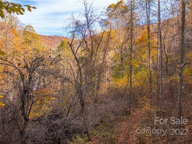 000 Drake Cove Rd, Mars Hill, NC 28754 - photo 2