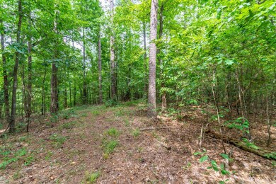 200 Acres Greene 718 and 707 Rd, Paragould, AR 72450 - photo 7