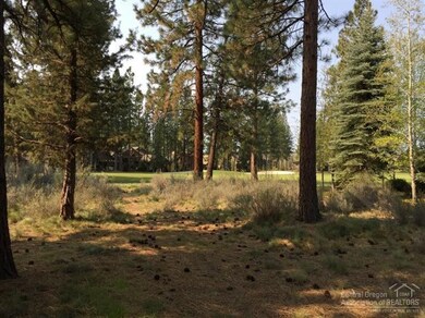 19373 Soda Springs Dr, Bend, OR 97702 - photo 7