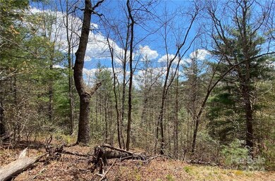 Lot 3 on Saturn Way unit 3, Bryson City, NC 28781 - photo 6